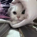 khllmi