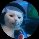 xtigertoe