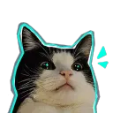 backflipbambi