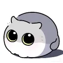 raziial