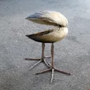 molluskfan