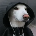 tenebraaa avatar