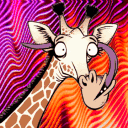 raffthegiraffe