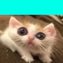 cetx_yt