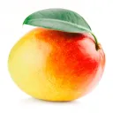 mangominer