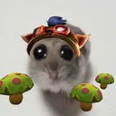 himicz