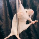 avatar ♦Error_130♦