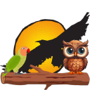 avatar lifeofhein🇲🇽