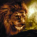 shadowtijger
