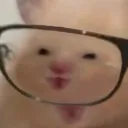 dancarz
