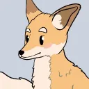 _zenfox
