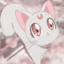 avatar ୨♡୧alina୨♡୧
