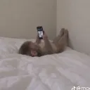 .sk9