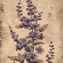 liiittle_toxicity