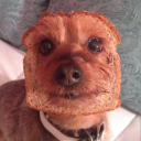 heft0rrrr#8017's avatar