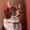 Sɦɑ∂ღωŔɑɨ∂єи