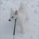 caburum_dev