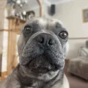 balu0007