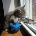 mcducktdm