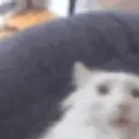 subzerovv