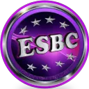 thebestdevs9331