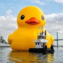 .duckie4