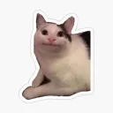 meowmodevt