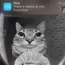 meowmodevt