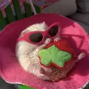 arimarshmellow