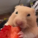 arimarshmellow
