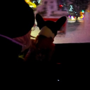 avatar 𝒢𝒽ℴ𝓈𝓉𝓁𝓎ℳℯ𝒾