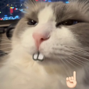 avatar meowmeow