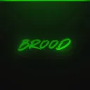brood_dsn