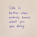 avatar The Crypto Network