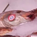 ponos_degustator
