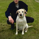 avatar ! DaavisKush´🦦