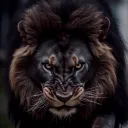 iamnanoowz