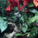 hwagananbeopallo#2482's avatar