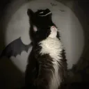 twisterdark