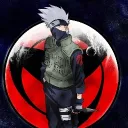 wolf_6660