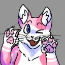 cypressthecalico