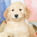 somr3868#2860's avatar