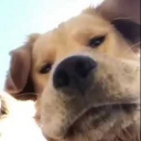 𝐔𝐍𝐈𝐊𝐍𝐎𝐖