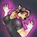 jaxxyboi
