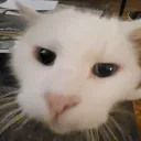 snoupzy avatar
