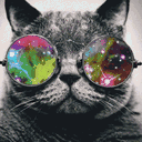 jannawhiskers