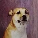 ??????_???━━∈