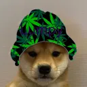 lumpylumpboy