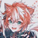 kochy_okami