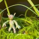 mossy.org